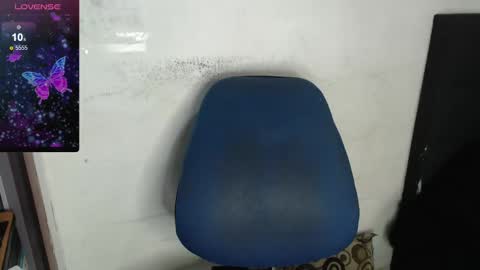 Sanctuary online show from 6, 1, 2025