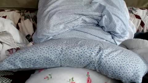 kaonashi69 online show from 19, 1, 2025