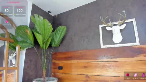   online show from 20, 2, 2026