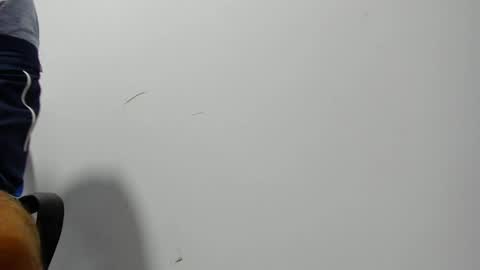 Snapshot of karljensen33 chatting on 2, 1, 2025 karlgenjen online show from 2, 1, 2025