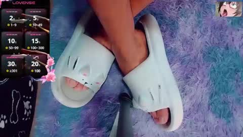 karol online show from 31, 1, 2025