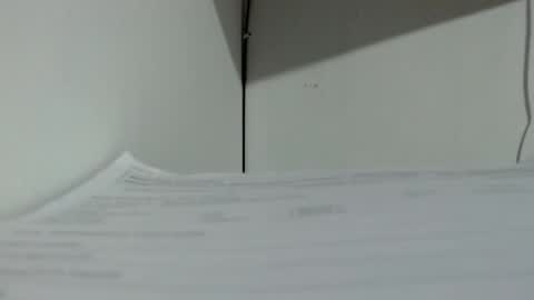 Tamires e Maicon online show from 16, 11, 2025