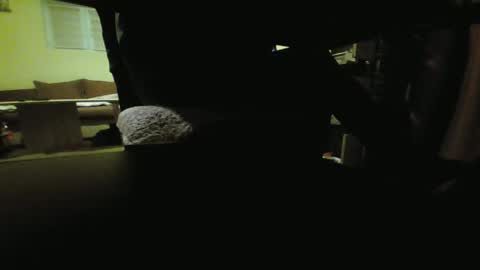 Snapshot of kaskaderns chatting on 19, 1, 2025 Stojko online show from 19, 1, 2025