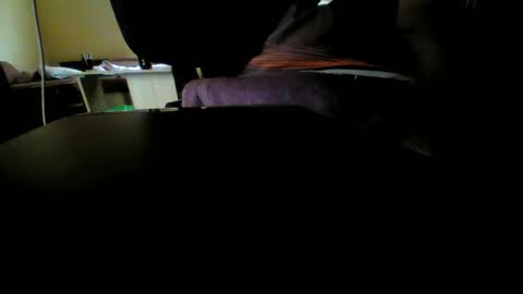 Snapshot of kaskaderns chatting on 1, 6, 2026 Stojko online show from 1, 6, 2026
