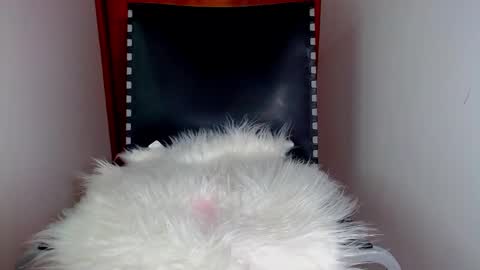 katalinaferreirax online show from 17, 12, 2024