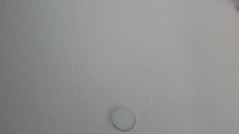 love meeee online show from 17, 1, 2025