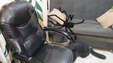 kathie_lozada online show from 28, 10, 2025