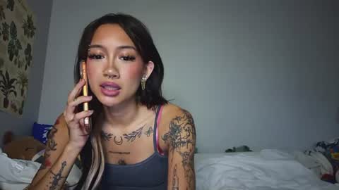katiecai online show from 3, 7, 2026