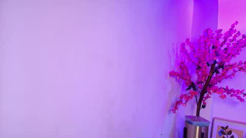 Katrina online show from 13, 12, 2025