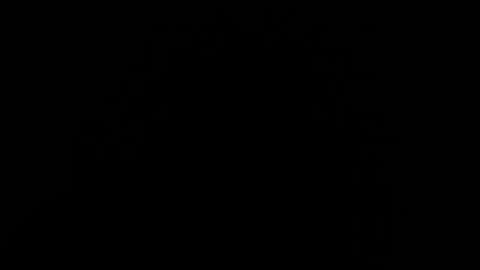 trannyblacklatinhot online show from 4, 1, 2025