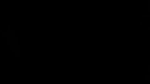 trannyblacklatinhot online show from 10, 1, 2025