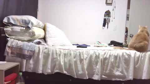 Snapshot of kawit1 chatting on 29, 10, 2025 Khawit online show from 29, 10, 2025