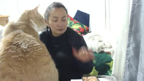 Snapshot of kawit1 chatting on 15, 1, 2026 Khawit online show from 15, 1, 2026