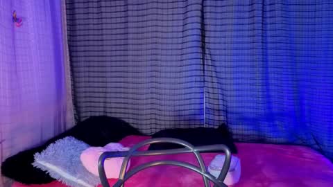 Snapshot of kayleemorales chatting on 19, 11, 2025 Kaylee online show from 19, 11, 2025