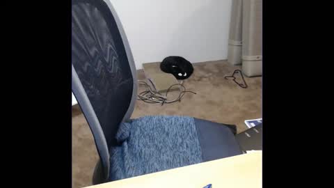 kcirt17225058 online show from 15, 10, 2025