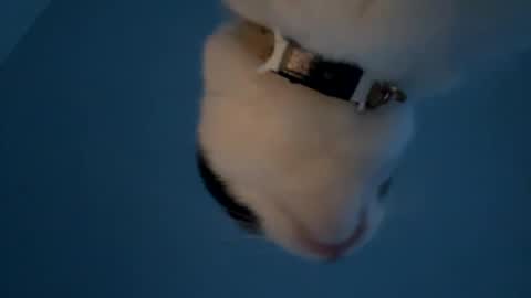 keepquietj online show from 20, 1, 2025