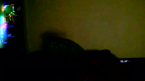 kev online show from 18, 2, 2026