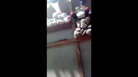 Snapshot of kevin_07279101 chatting on 4, 3, 2026 kevin_07279101 online show from 4, 3, 2026