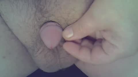 maggot online show from 21, 12, 2024