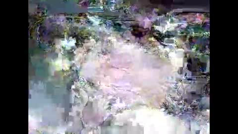 ki389253 online show from 4, 3, 2026