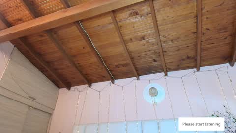    N         M online show from 27, 1, 2025