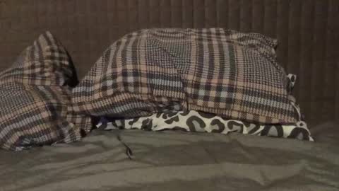 kiki3526 online show from 23, 11, 2025