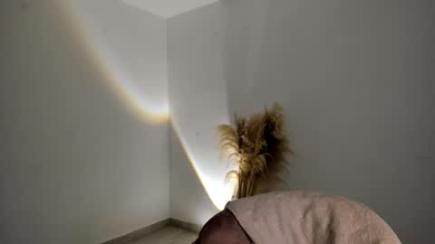 Kim Murphy online show from 18, 11, 2025