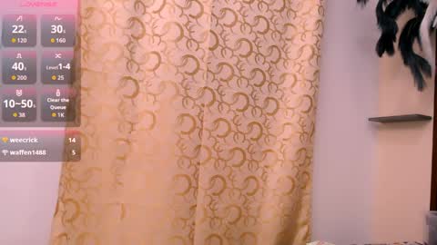 KIMBER online show from 3, 4, 2026