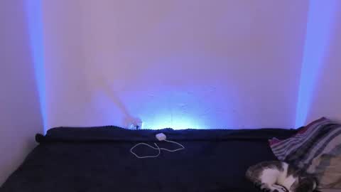 Kim online show from 16, 12, 2025