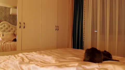 Kim Lee  online show from 14, 12, 2024