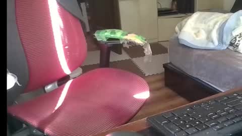 kinchan069 online show from 8, 1, 2026