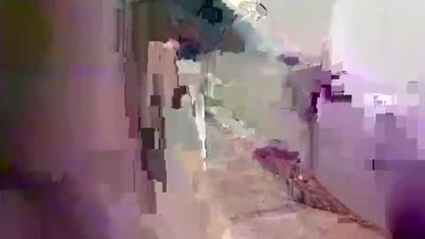 kingdingalingthe online show from 15, 10, 2025