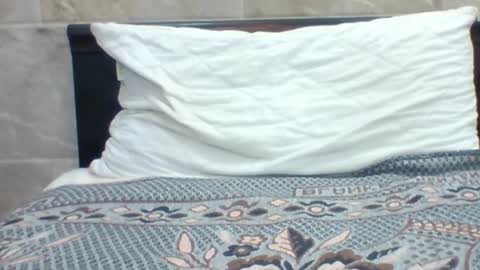 kingjordan122 online show from 30, 1, 2025