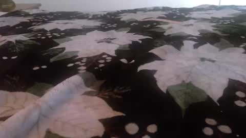 Snapshot of kinky_k80 chatting on 24, 11, 2025 Kinky K80 online show from 24, 11, 2025