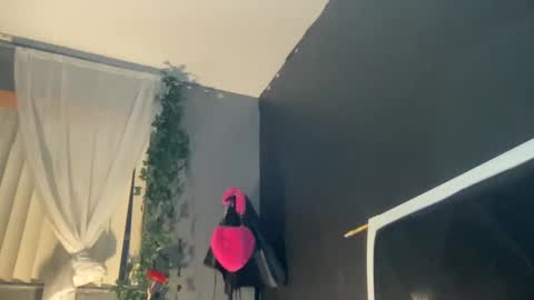 Snapshot of kinkykittee chatting on 2, 1, 2025 Bunniii online show from 2, 1, 2025