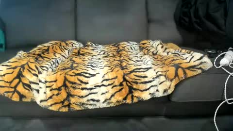 Snapshot of kinkykortney chatting on 16, 1, 2025 Kinky online show from 16, 1, 2025