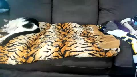 Snapshot of kinkykortney chatting on 4, 2, 2025 Kinky online show from 4, 2, 2025