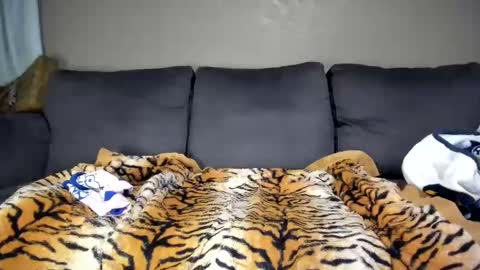 Snapshot of kinkykortney chatting on 11, 2, 2025 Kinky online show from 11, 2, 2025