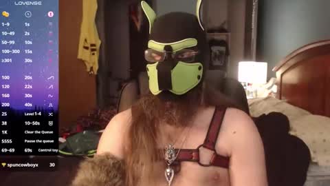 kinkywolf87 online show from 1, 4, 2026
