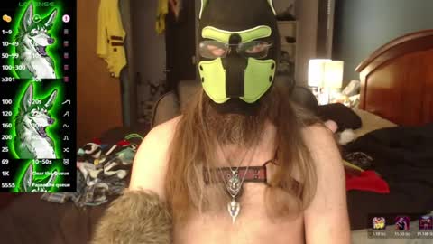 Snapshot of kinkywolf87 chatting on 29, 6, 2026 kinkywolf87 online show from 29, 6, 2026