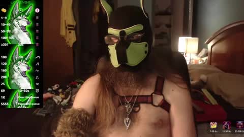 Snapshot of kinkywolf87 chatting on 2, 7, 2026 kinkywolf87 online show from 2, 7, 2026
