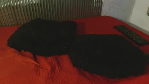 kitsune_44 online show from 27, 5, 2026
