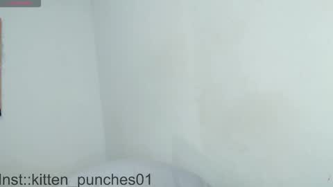 kitten_punches02 online show from 1, 11, 2025