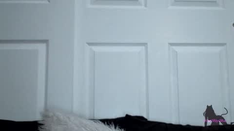 Kitti online show from 11, 11, 2025