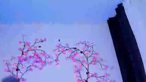 kath online show from 7, 3, 2026