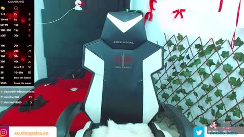 kitty_vaal online show from 13, 2, 2025