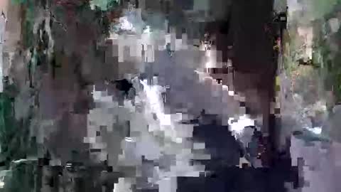 kittykemi online show from 24, 9, 2025