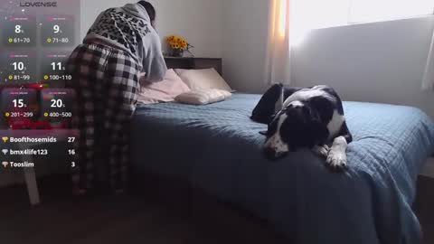 Kittyymaze online show from 20, 12, 2024