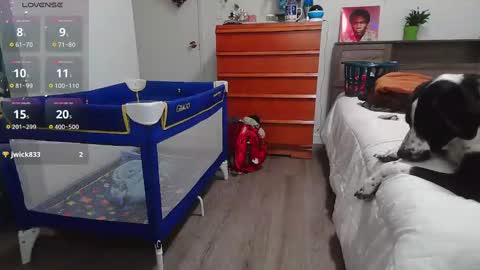 Kittyymaze online show from 19, 1, 2025