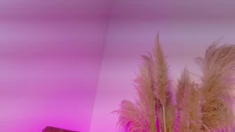 Kitty Hill online show from 12, 1, 2026